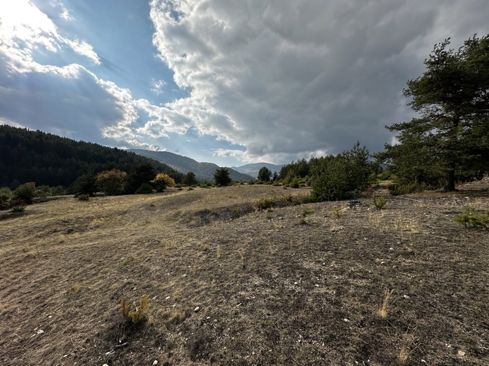 ������� ������ | Imot.bg � ����������� 8