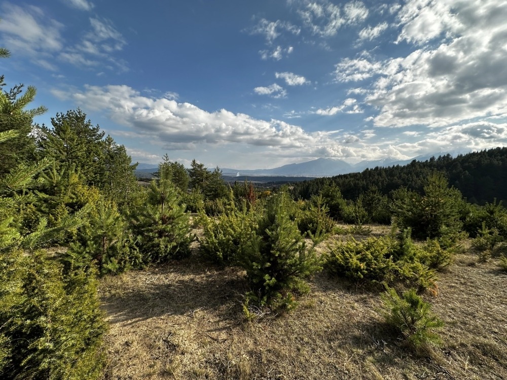 ������� ������ | Imot.bg � ����������� 14