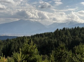 ������� ������ | Imot.bg � ����� ������ 15