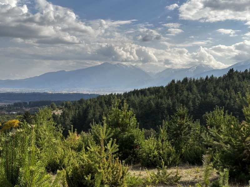 Продава ПАРЦЕЛ, с. Бачево, област Благоевград, снимка 16 - Парцели - 52736548