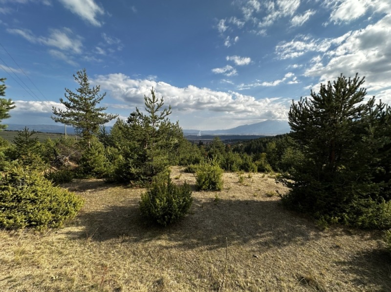 Продава ПАРЦЕЛ, с. Бачево, област Благоевград, снимка 17 - Парцели - 52736548