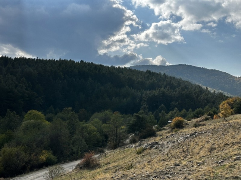 Продава ПАРЦЕЛ, с. Бачево, област Благоевград, снимка 5 - Парцели - 52736548