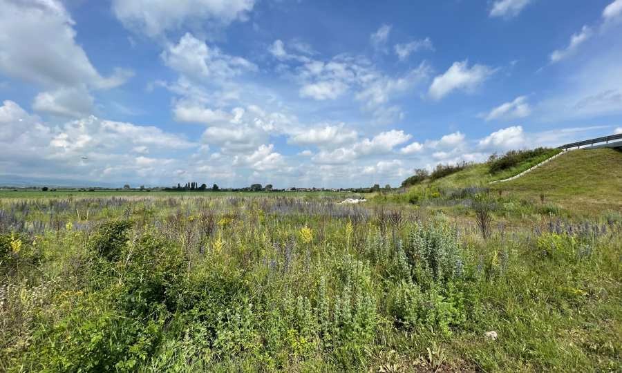 Продава ПАРЦЕЛ | Imot.bg — изображение 5