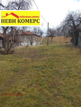 ����� ������� ������,���� ������, ������