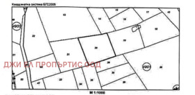 ����� ������� ������,���� �����, �. ������