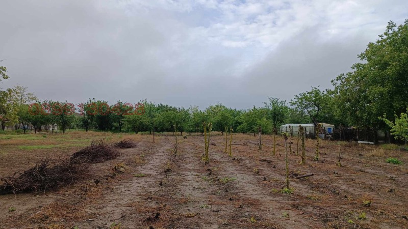 Продава ПАРЦЕЛ, гр. Дулово, област Силистра, снимка 3 - Парцели - 52784526