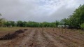 Продава ПАРЦЕЛ, гр. Дулово, област Силистра, снимка 3