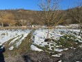 Продава ПАРЦЕЛ, област Варна, с. Разделна • 47000 € / 91924.01 лв. • 93381438 5