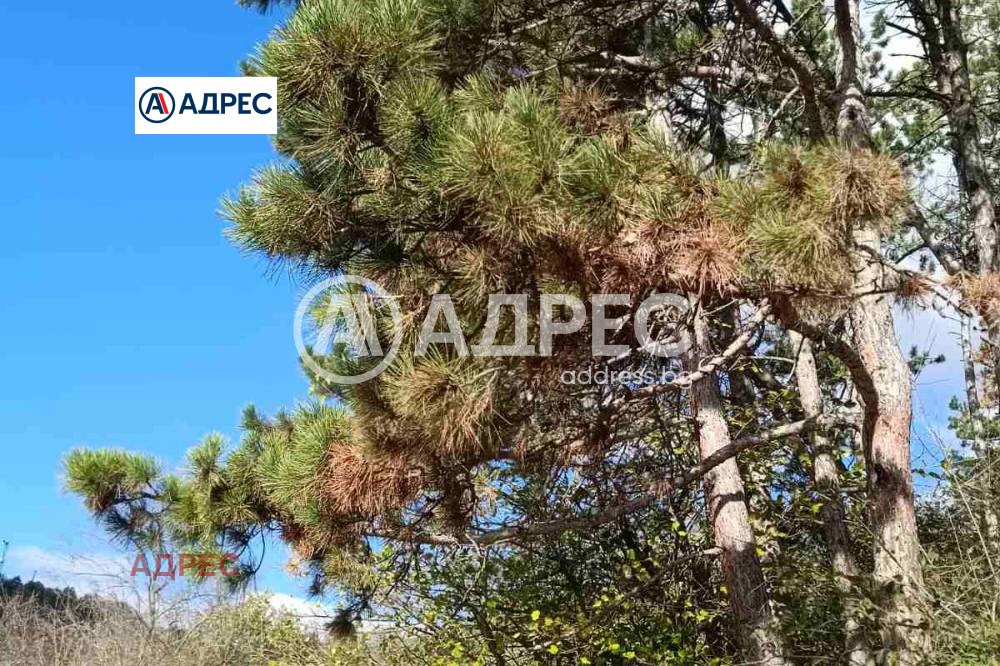 ������� ������ | Imot.bg � ����������� 6