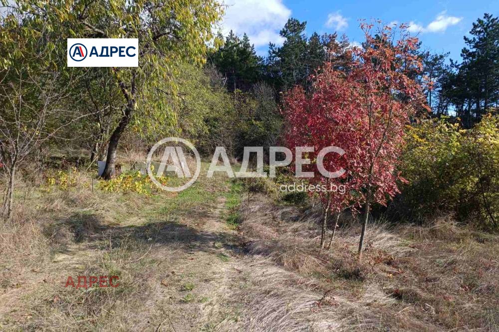 ������� ������ | Imot.bg � ����������� 9