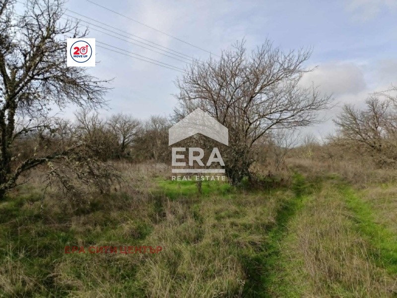 Продава ПАРЦЕЛ, с. Ново село, област Стара Загора, снимка 4 - Парцели - 55845494