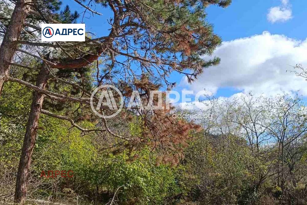Продава ПАРЦЕЛ, гр. Аксаково, област Варна, снимка 2 - Парцели - 53909613