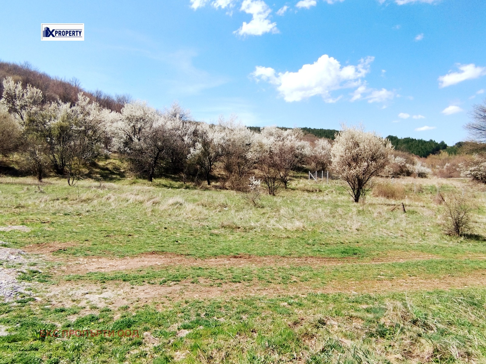 Продава ПАРЦЕЛ, с. Боснек, област Перник, снимка 4 - Парцели - 54275606