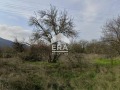 Продава  Парцел област Стара Загора , с. Ново село , 3302 кв.м | 13776750 - изображение [3]
