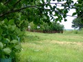 Продава ПАРЦЕЛ, с. Соколово, област Добрич, снимка 11