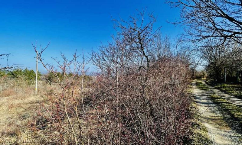 Продава ПАРЦЕЛ в област Велико Търново, с. Арбанаси - 4300 кв.м / 45 000 € » 88 012.35 лв., СУПРИММО ОФИСИ В СТРАНАТА