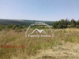 ����� ������� ������,�. �������, ������ �����