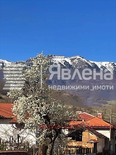 Продава ЗАВЕДЕНИЕ, с. Железна, област Монтана, снимка 15 - Заведения - 54141772