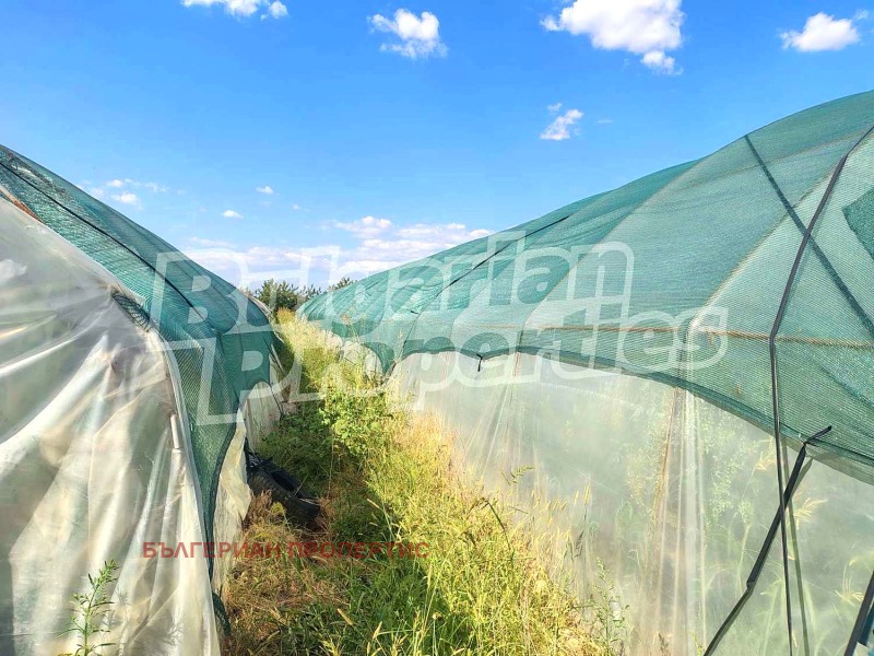 На продаж  Земля область Пловдив , Стряма , 9.298 dka | 59927167 - зображення [2]