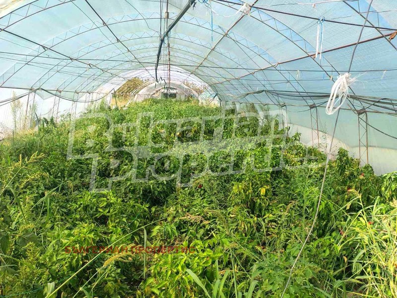 На продаж  Земля область Пловдив , Стряма , 9.298 dka | 59927167