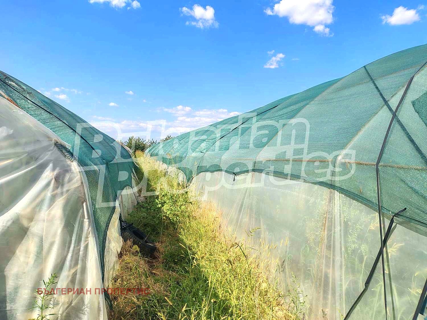 Продава ЗЕМЕДЕЛСКА ЗЕМЯ, с. Стряма, област Пловдив, снимка 2 - Земеделска земя - 51400686