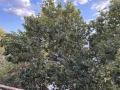 Продава 2-СТАЕН, гр. Пловдив, Южен, снимка 5
