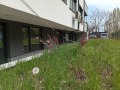 Продава  Ателие, таван град София , Оборище , 37 кв.м | 28324118 - изображение [3]