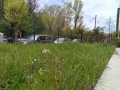 Продава  Ателие, таван град София , Оборище , 37 кв.м | 28324118 - изображение [4]