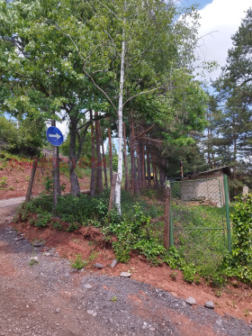 ������� ������ | Imot.bg � ����� ������ 7