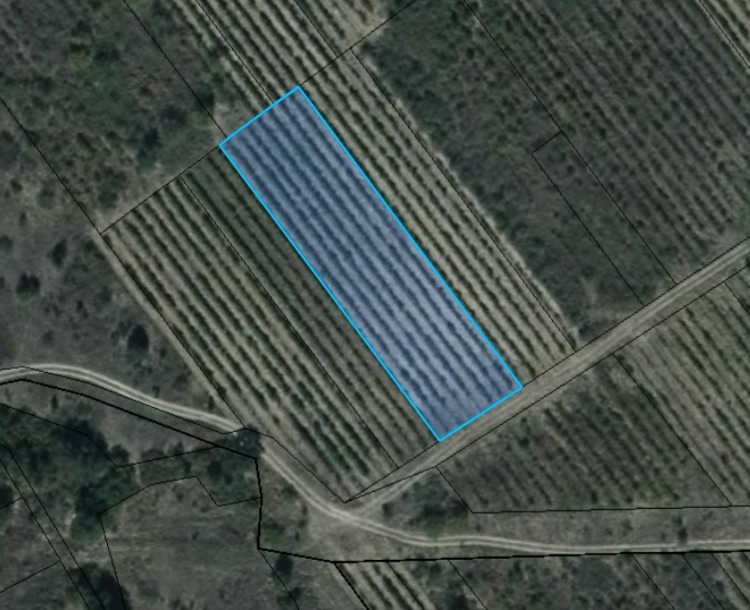 Продава ЗЕМЕДЕЛСКА ЗЕМЯ, с. Славовица, област Пазарджик