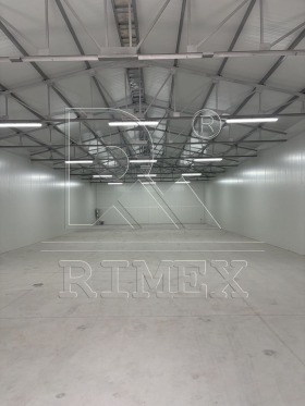 ����� ������� ����. ���������,���� �������, ������������ ���� - �����