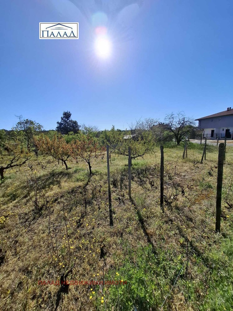 Na prodej  Spiknutí Varna , m-t Borovec - sever , 1040 m2 | 25975286 - obraz [12]