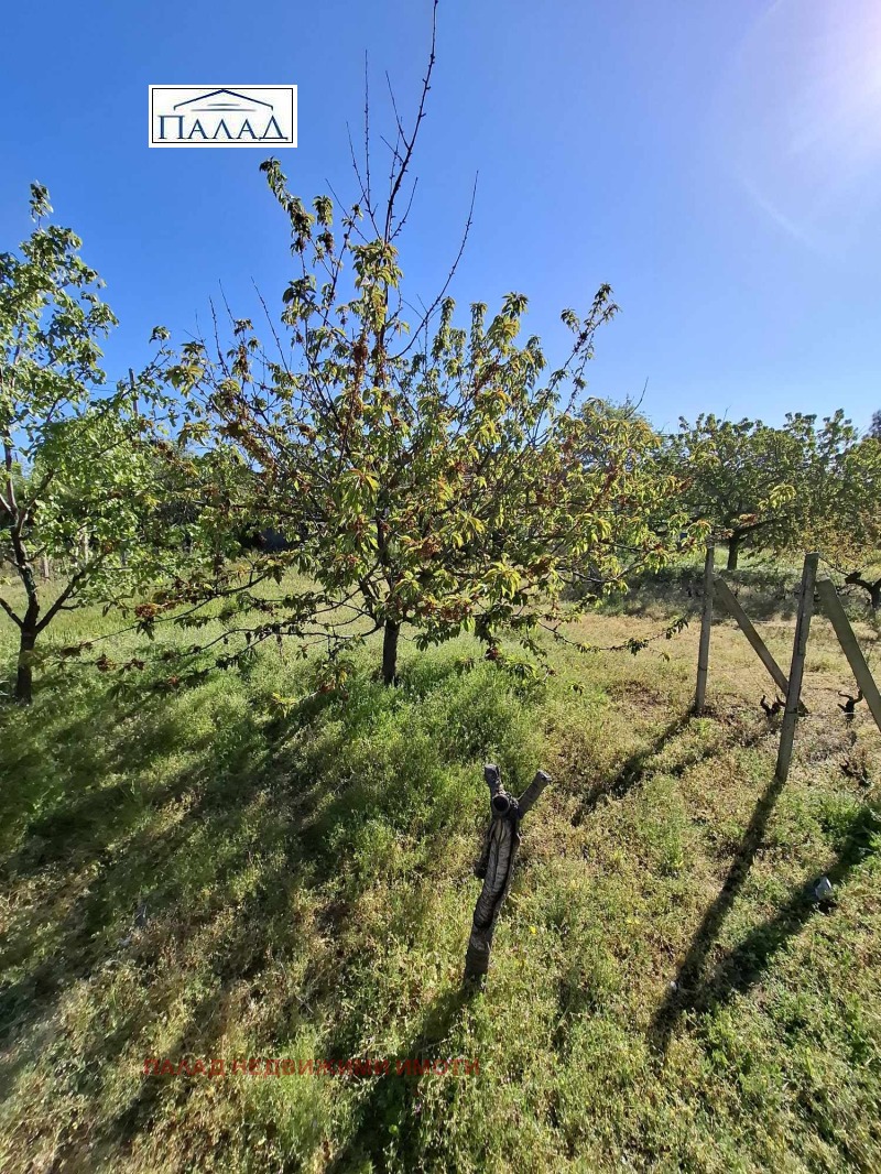Na prodej  Spiknutí Varna , m-t Borovec - sever , 1040 m2 | 25975286 - obraz [11]