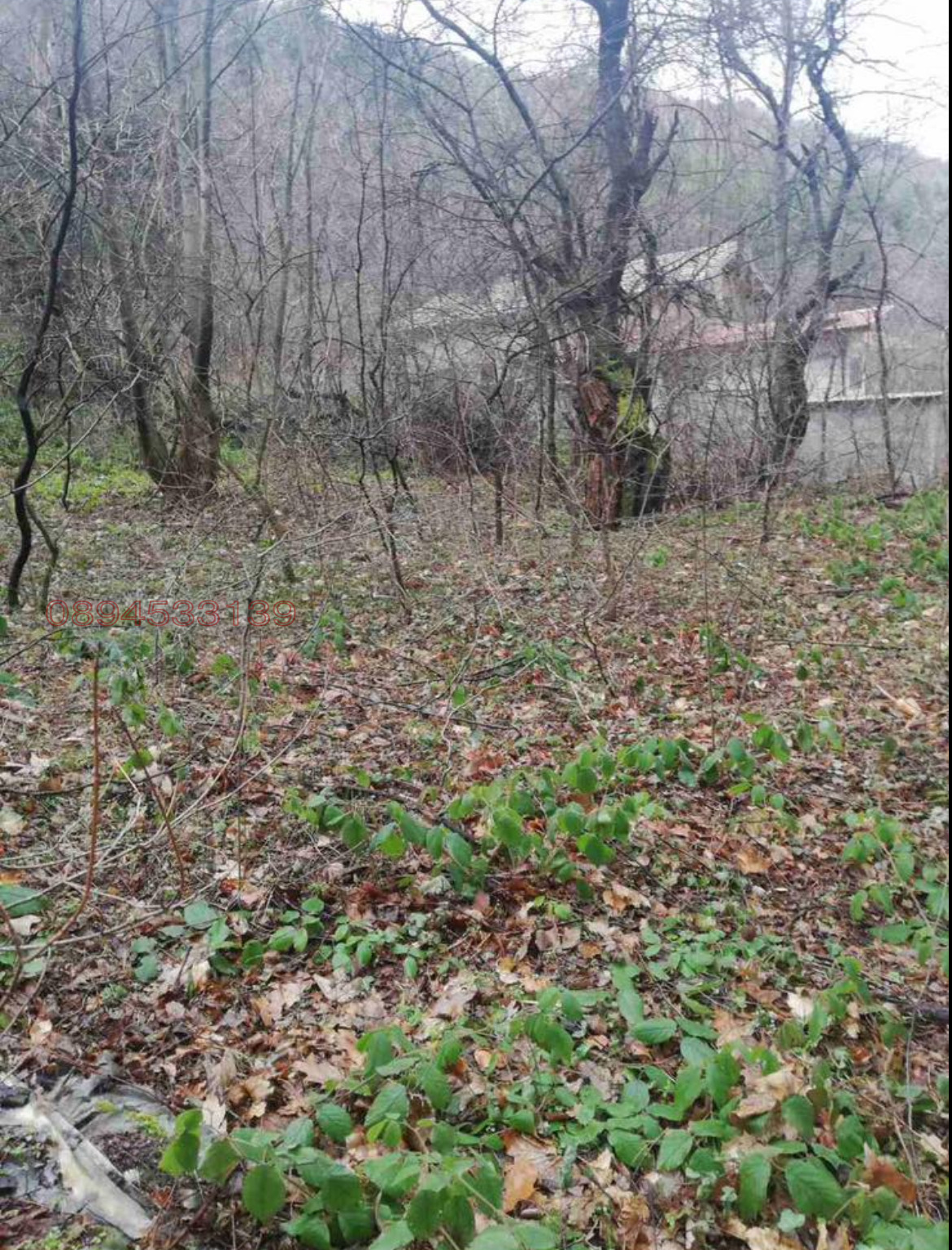 Продава ПАРЦЕЛ, гр. София, Драгалевци