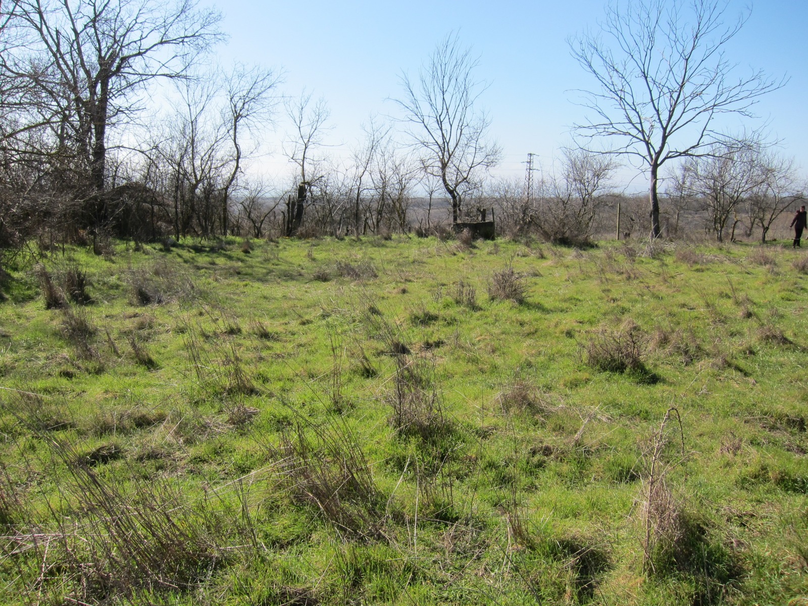 Продава ПАРЦЕЛ, с. Кривня, област Варна, снимка 3 - Парцели - 54317677