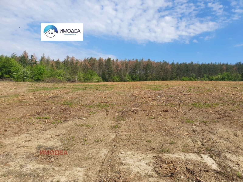 Продава ПАРЦЕЛ в област Велико Търново, с. Малки чифлик - 7101 кв.м / 213 030 € » 416 650.46 лв., ИМОДЕА