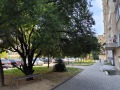 Продава 1-СТАЕН, град Стара Загора, Център • 31974 € • 89252299 — Holmes.bg