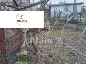 House Tutrakan, region Silistra 4