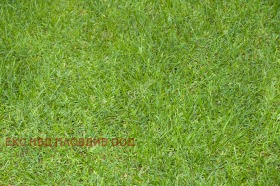 ����� ������� ������,��. ������, ������ �������