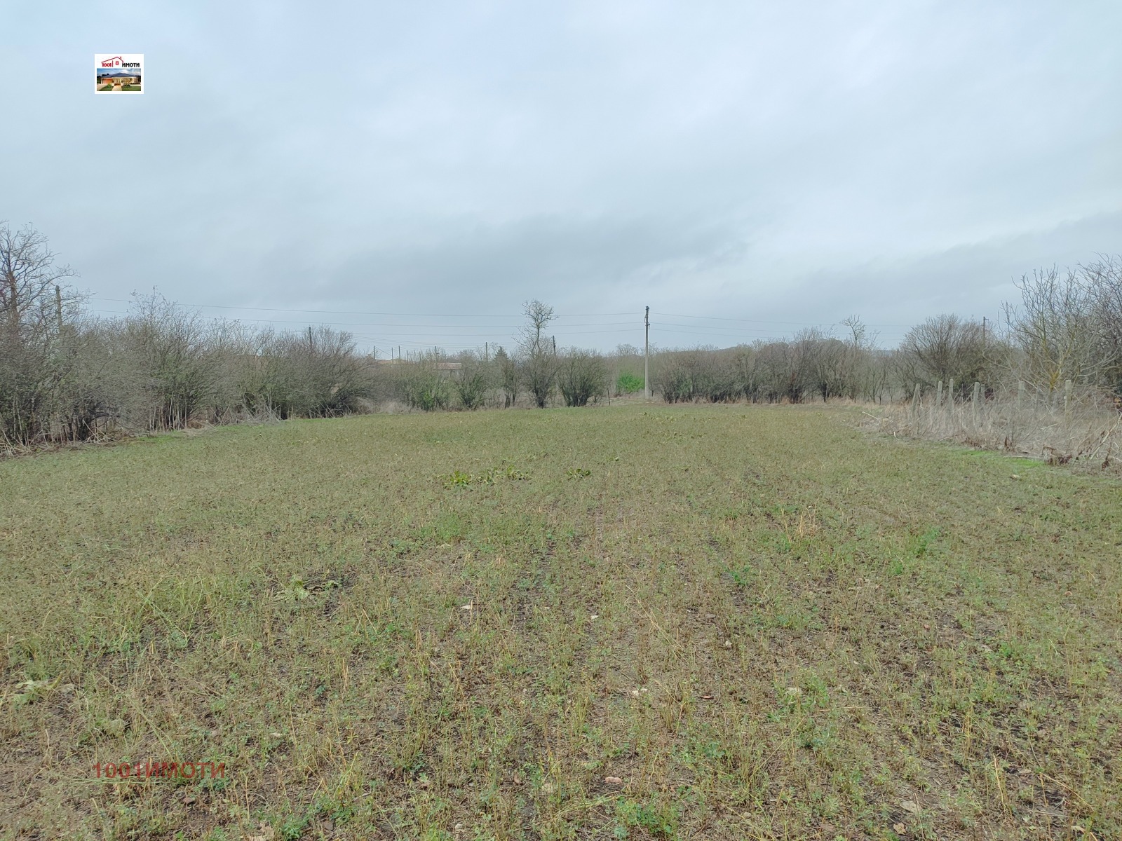 Продава ПАРЦЕЛ, с. Преспа, област Добрич, снимка 2 - Парцели - 54086693