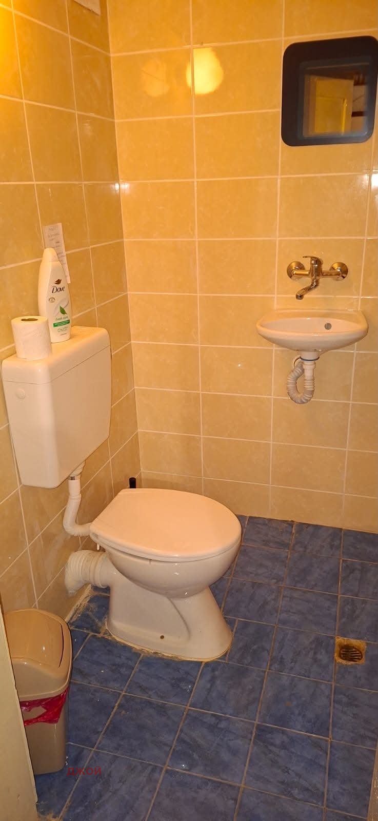 Продава КЪЩА, с. Лопян, област София област, снимка 10 - Къщи - 55968123