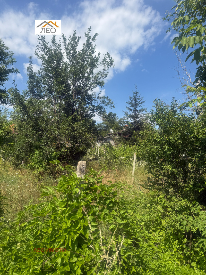 Na prodej  Spiknutí oblast Gabrovo , Sevlievo , 1000 m2 | 63621021