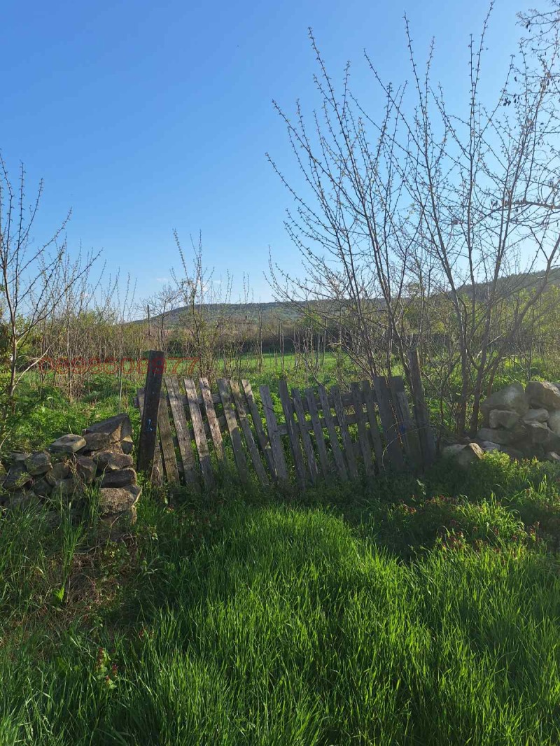 Продава ПАРЦЕЛ, с. Белоградец, област Варна, снимка 4 - Парцели - 53043553