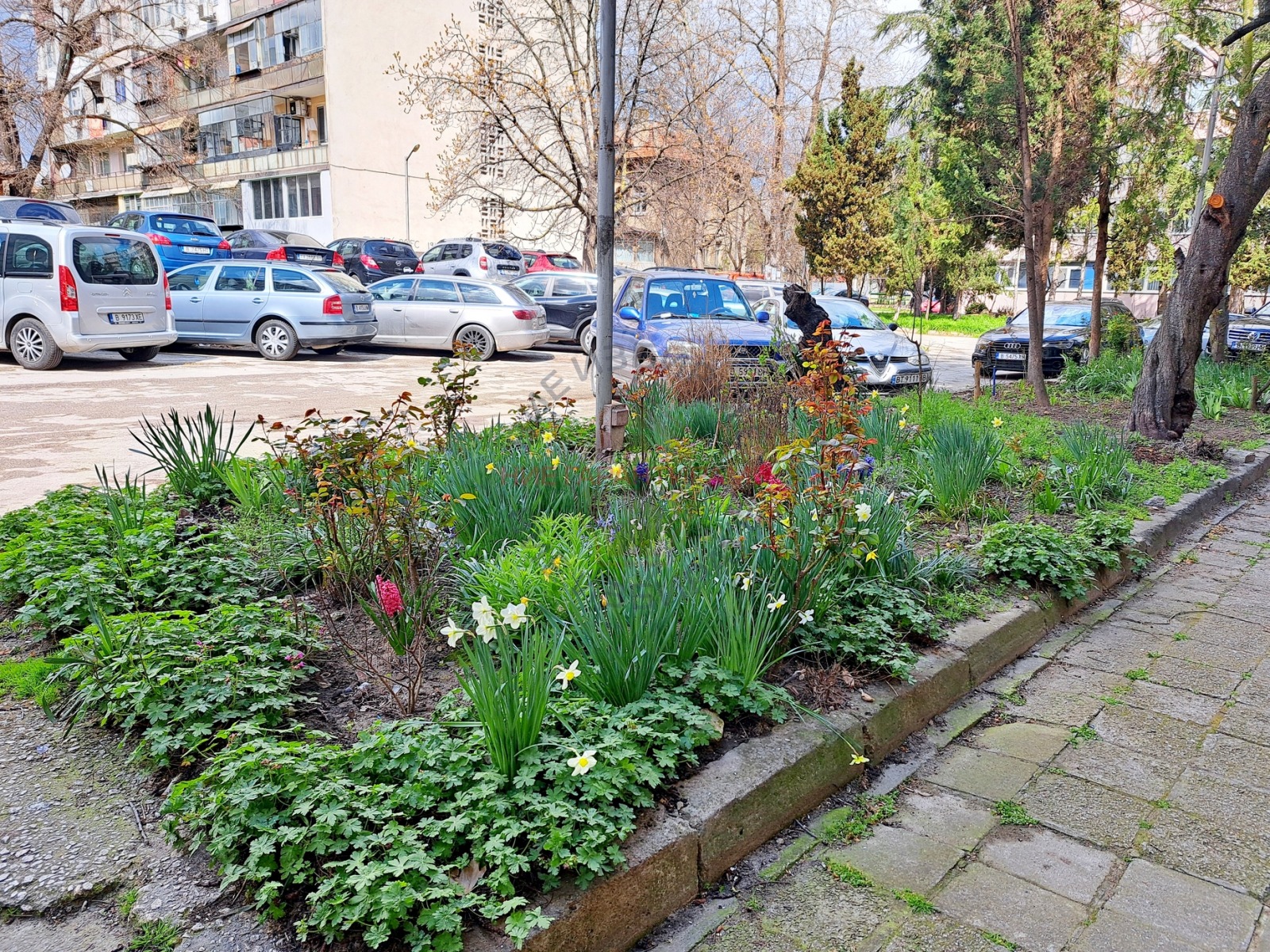 Продава 3-СТАЕН, гр. Варна, Аспарухово
