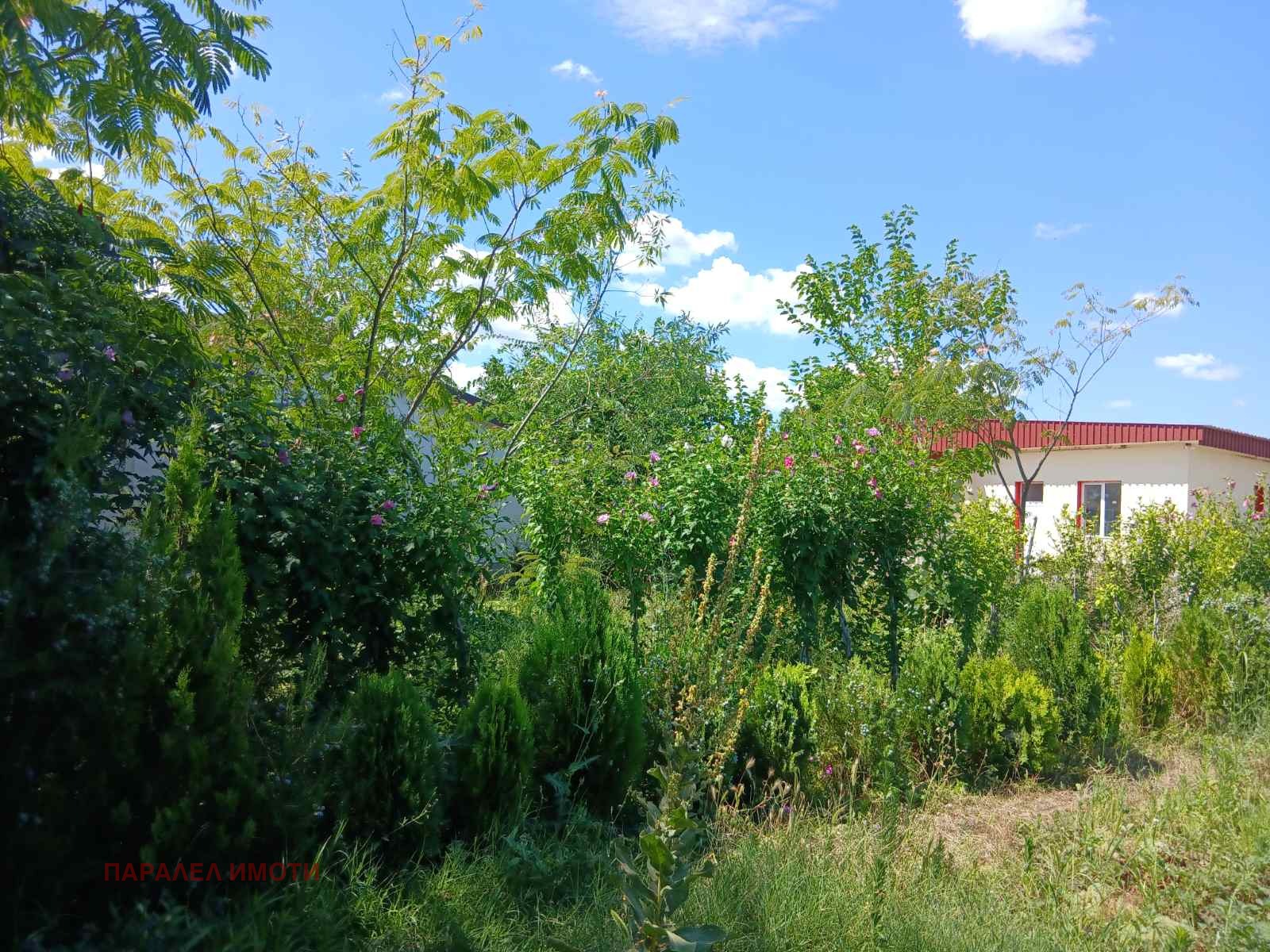 Продава КЪЩА, с. Ново село, област Пловдив, снимка 16 - Къщи - 50298650