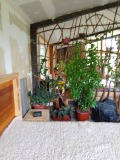Продава КЪЩА, област Пловдив, с. Ново село • 125490 € • 56449029 — Holmes.bg
