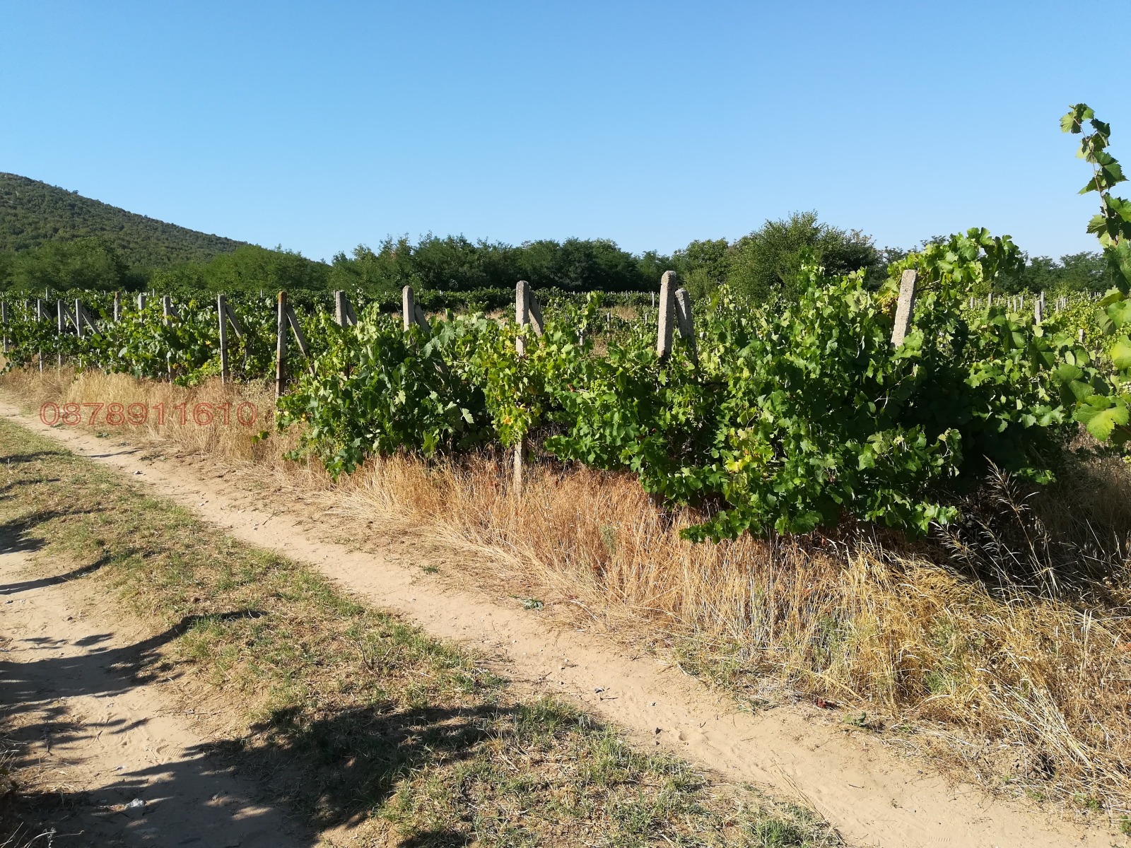 ������� ���������� ���� | Imot.bg � ����������� 2