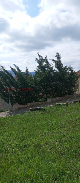 ����� ������� ������,�. ��������, ������ ������