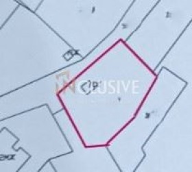 ����� ������� ������,���� �����, �-� �������