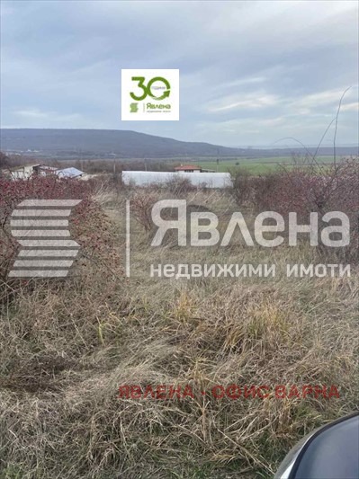 Til salg  Grund region Dobrich , Rogachevo , 1418 kvm | 69227207 - billede [2]